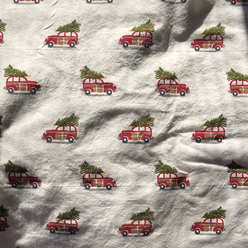 Pottery Barn Holiday Shower Curtain - 72”x72”